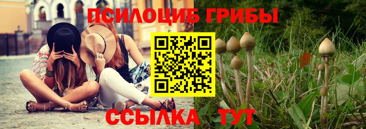 Зеленогорск  Галлюциногенные грибы MAGIC MUSHROOMS  Вход с VPN 